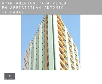 Apartamentos para venda em  Apetatitlán Antonio Carbajal