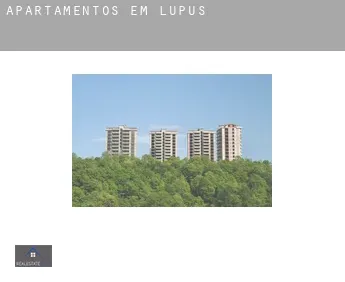 Apartamentos em  Lupus