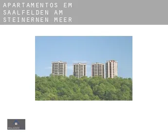 Apartamentos em  Saalfelden am Steinernen Meer