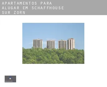 Apartamentos para alugar em  Schaffhouse-sur-Zorn