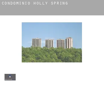 Condomínio  Holly Spring