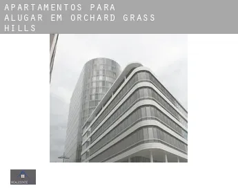 Apartamentos para alugar em  Orchard Grass Hills