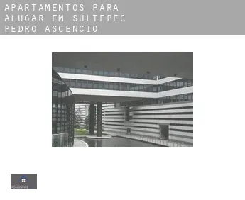 Apartamentos para alugar em  Sultepec de Pedro Ascencio de Alquisiras