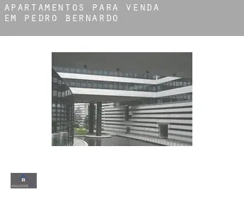 Apartamentos para venda em  Pedro Bernardo