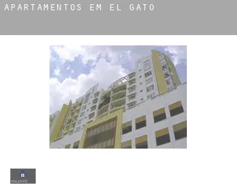 Apartamentos em  El Gato