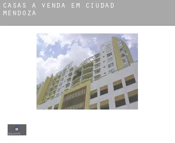 Casas à venda em  Ciudad Mendoza