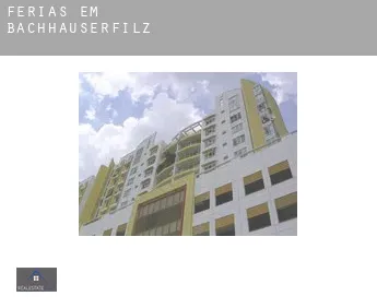 Férias em  Bachhauserfilz