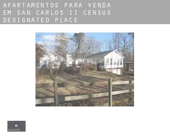 Apartamentos para venda em  San Carlos II