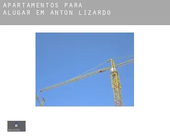 Apartamentos para alugar em  Antón Lizardo