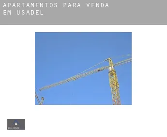 Apartamentos para venda em  Usadel
