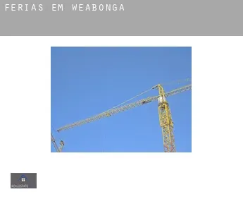 Férias em  Weabonga