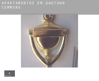 Apartamentos em  Dogtown Commons