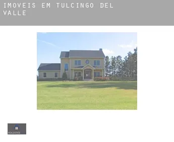 Imóveis em  Tulcingo del Valle