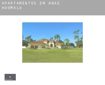 Apartamentos em  ‘Anae-ho‘omalu