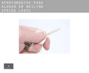 Apartamentos para alugar em  Boiling Spring Lakes