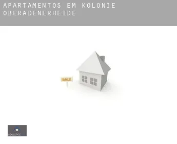 Apartamentos em  Kolonie Oberadenerheide