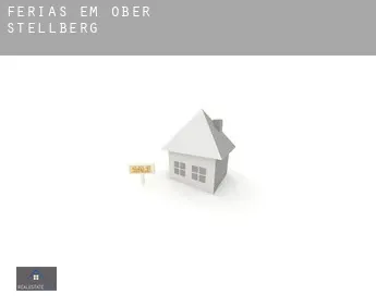 Férias em  Ober-Stellberg