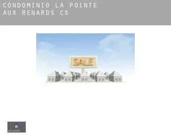 Condomínio  Pointe-aux-Renards (census area)