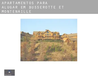 Apartamentos para alugar em  Busserotte-et-Montenaille