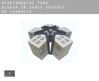 Apartamentos para alugar em  Santo António da Charneca