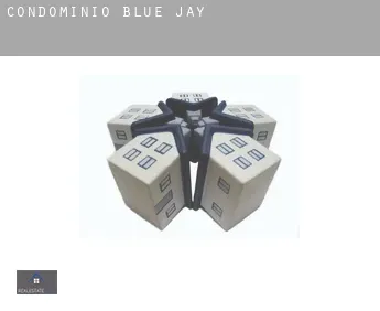Condomínio  Blue Jay 6