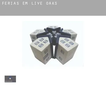 Férias em  Live Oaks