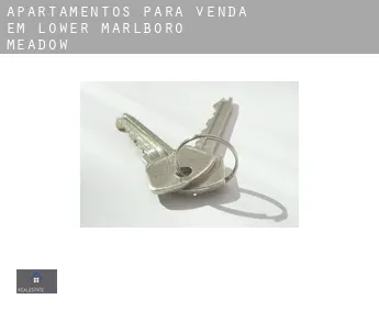 Apartamentos para venda em  Lower Marlboro Meadow