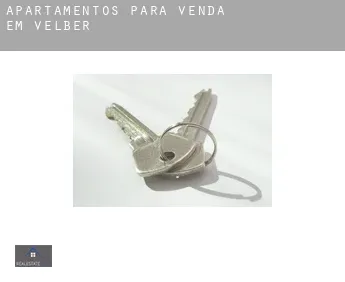 Apartamentos para venda em  Velber