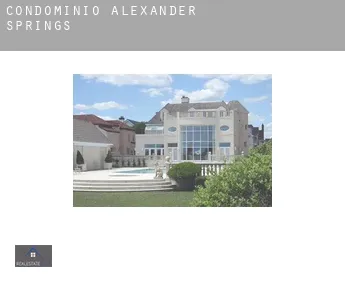 Condomínio  Alexander Springs