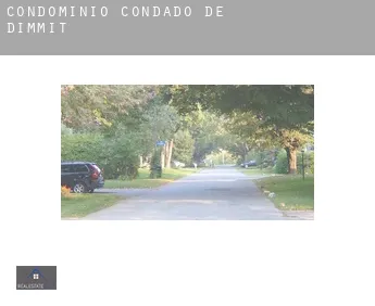 Condomínio  Condado de Dimmit