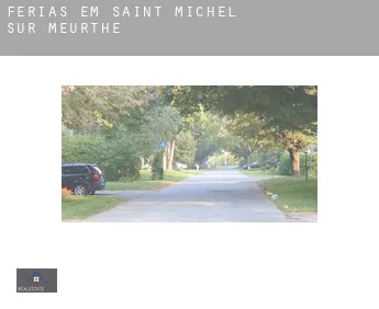Férias em  Saint-Michel-sur-Meurthe
