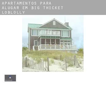 Apartamentos para alugar em  Big Thicket Loblolly