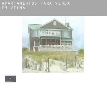 Apartamentos para venda em  Velma