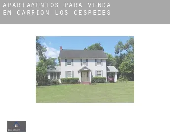 Apartamentos para venda em  Carrión de los Céspedes