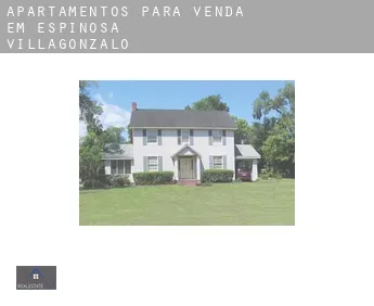Apartamentos para venda em  Espinosa de Villagonzalo