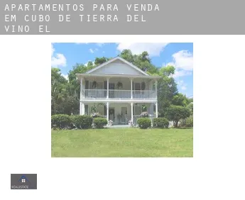 Apartamentos para venda em  Cubo de Tierra del Vino (El)