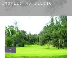 Imóveis no Bélgica