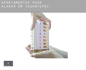 Apartamentos para alugar em  Tezontepec