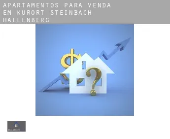 Apartamentos para venda em  Kurort Steinbach-Hallenberg