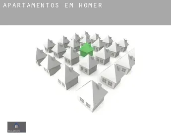 Apartamentos em  Homer