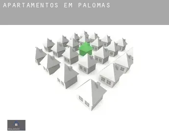 Apartamentos em  Palomas