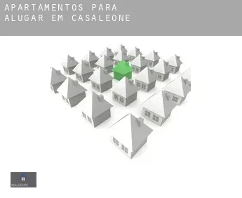 Apartamentos para alugar em  Casaleone