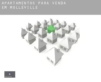 Apartamentos para venda em  Molleville