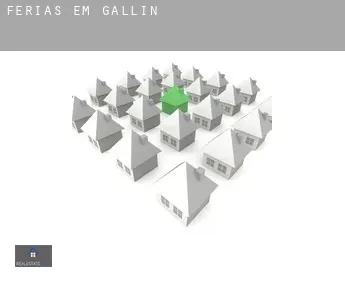 Férias em  Gallin