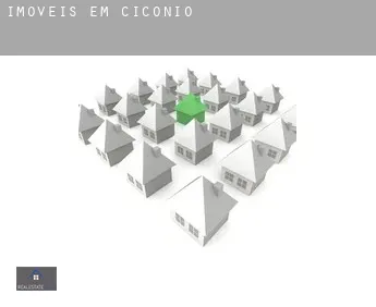 Imóveis em  Ciconio