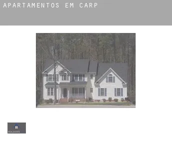 Apartamentos em  Carp