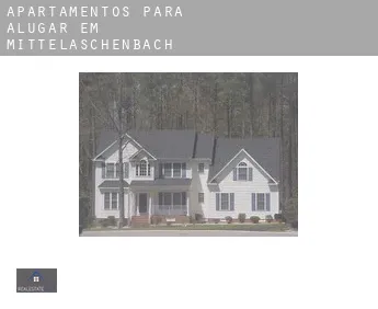 Apartamentos para alugar em  Mittelaschenbach