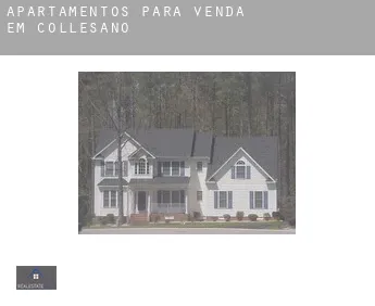 Apartamentos para venda em  Collesano