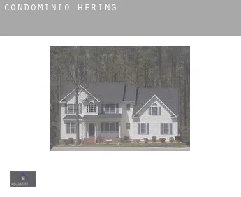 Condomínio  Hering
