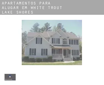 Apartamentos para alugar em  White Trout Lake Shores